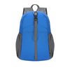 Chermel Foldable Backpack